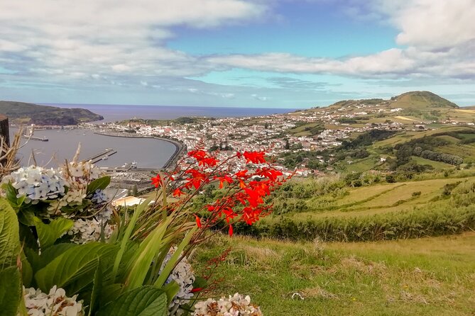 Faial Island: Half Day Tour - Capelinhos, where Faial looks almost lunar