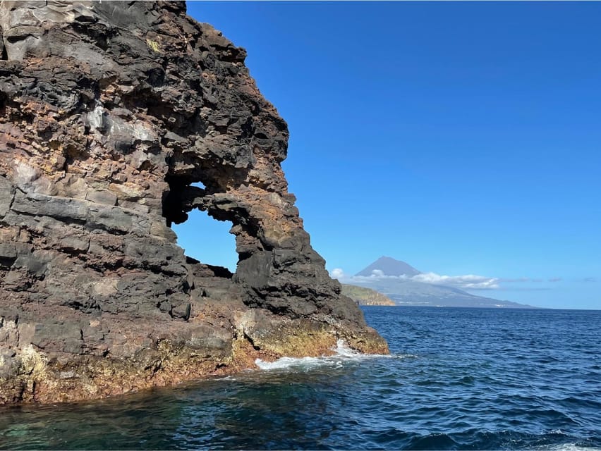 Faial Island: Unique boat tour to the Capelinhos volcano - Is the $88 price fair?