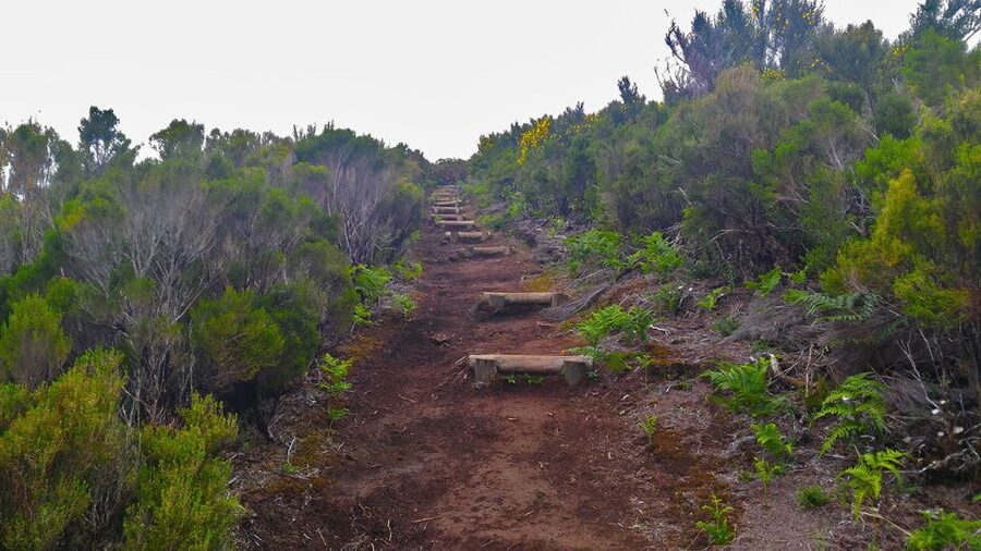Fanal / Assobiadores - Levada Walk - Food, clothing, and what to carry