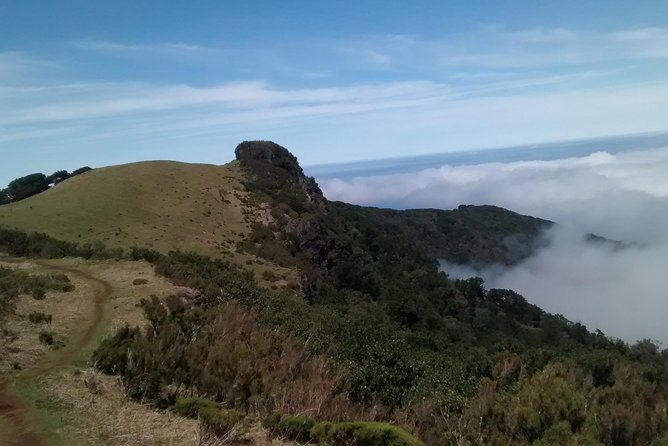 Fanal -Enchanted Forest - Weather, clothing, and comfort