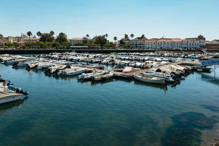 Faro: Deserta Island and Farol Island Catamaran Boat Trip - Key points at a glance