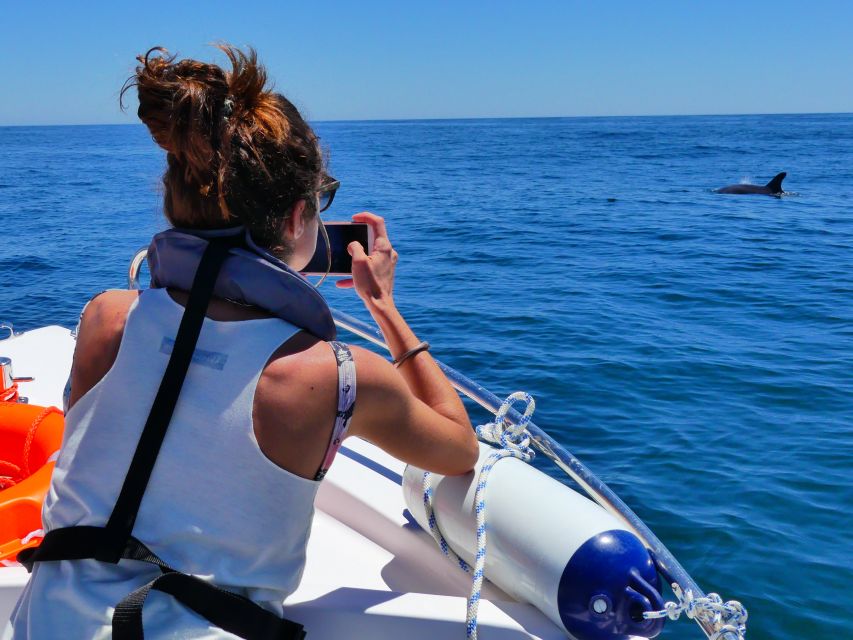 Faro: Dolphin and Wildlife Watching in the Atlantic Ocean - Why the marine biologists matter