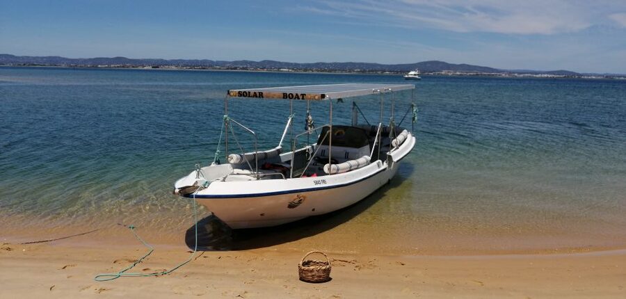 Faro: Eco-Friendly Ria Formosa Bird Watching in Solar Boat - Birds you might see on the route