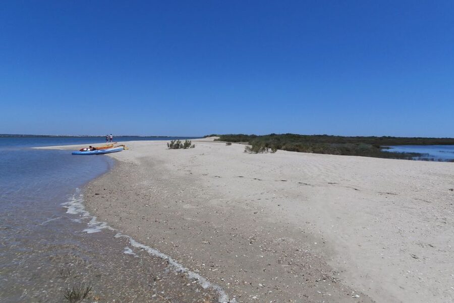 Faro: Kayak Hire in Ria Formosa Natural Park - What I like most, and what I would change