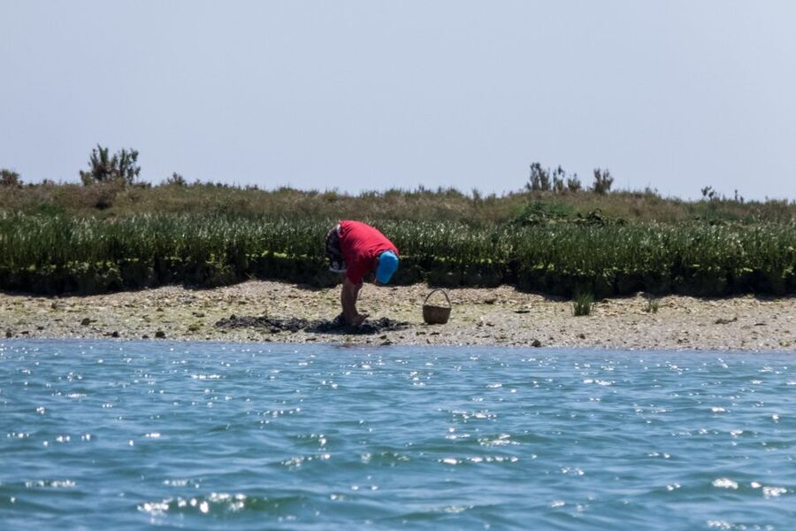 Faro: Kayak Hire in Ria Formosa Natural Park - Choosing between 2.5 hours and 4 hours