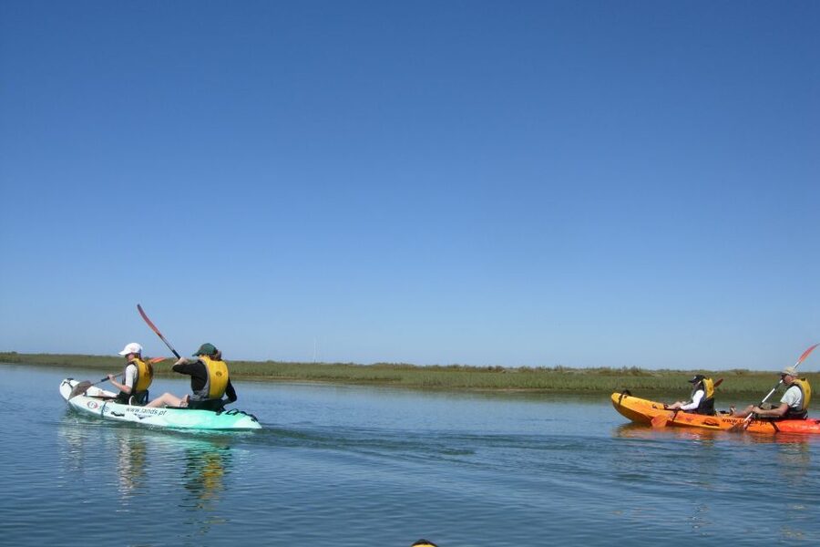 Faro: Kayak Hire in Ria Formosa Natural Park - Safety, comfort, and who should skip it