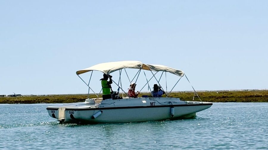 Faro: Ria Formosa Boat Tour by Eco-Friendly Solar Boat - Key points to know before you book