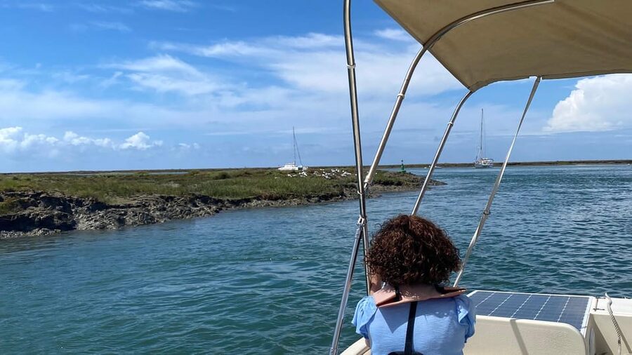 Faro: Ria Formosa Boat Tour by Eco-Friendly Solar Boat - Through the Ria Formosa protected marshes