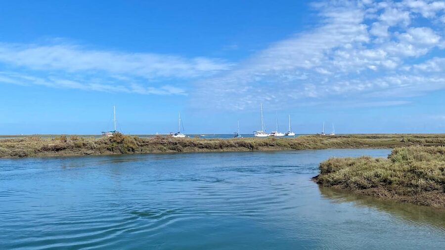Faro: Ria Formosa Boat Tour by Eco-Friendly Solar Boat - Guides who make the hour worthwhile