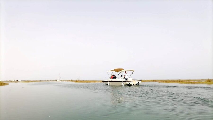 Faro: Ria Formosa Boat Tour by Eco-Friendly Solar Boat - The best time to go