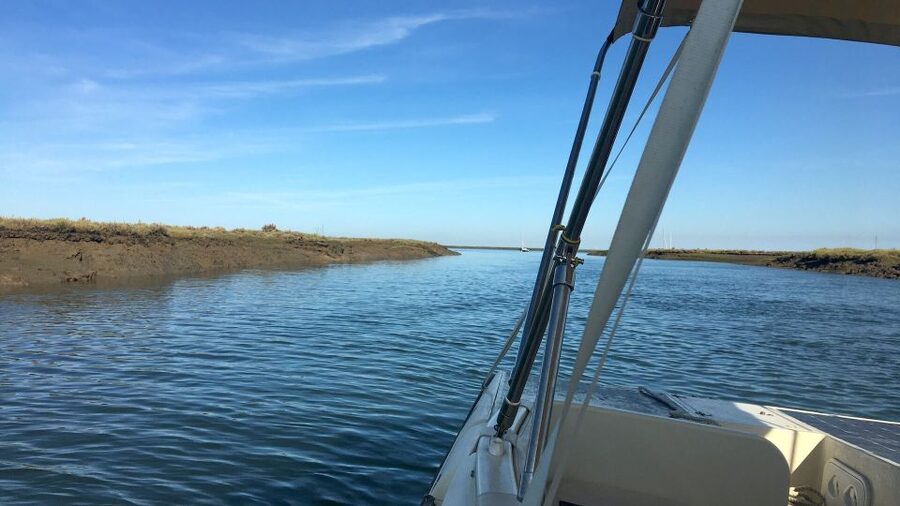 Faro: Ria Formosa Boat Tour by Eco-Friendly Solar Boat - Who should take this tour