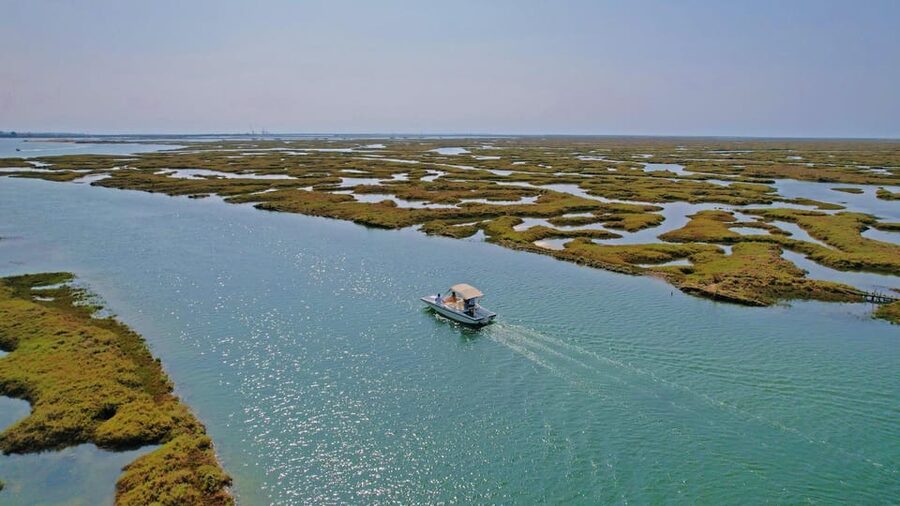 Faro: Ria Formosa Boat Tour by Eco-Friendly Solar Boat - Why the solar boat changes the ride