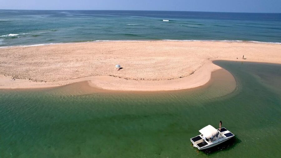 Faro: Ria Formosa Eco Birdwatching Boat Tour - Practical tips for a better trip