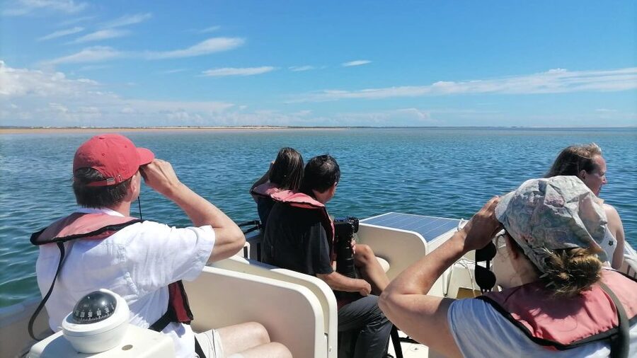 Faro: Ria Formosa Eco Birdwatching Boat Tour - Why the Ria Formosa is worth your time