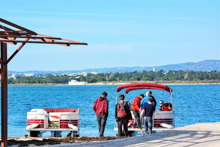 Faro: Ria Formosa Faro Islands Boat Tour - Deserta Island and its open shore