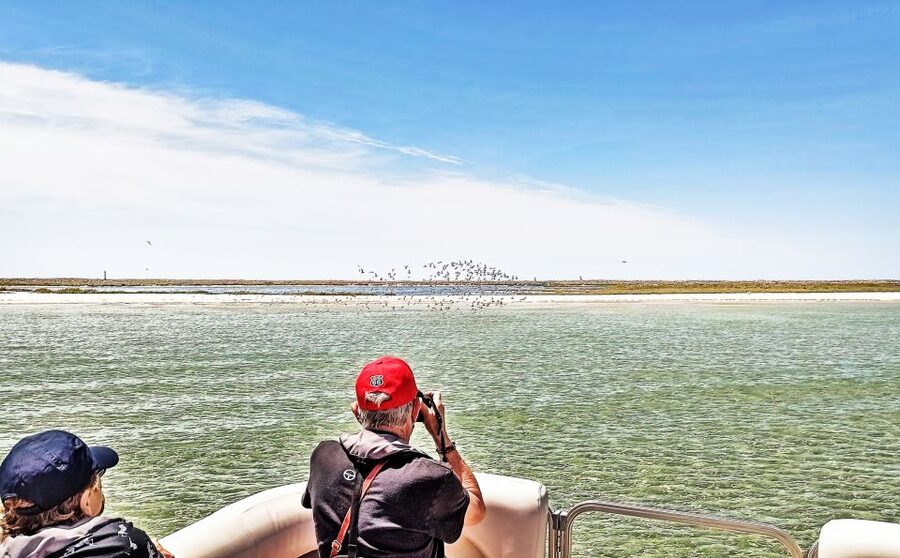 Faro: Ria Formosa Faro Islands Boat Tour - Farol Island, lighthouse, and lunch