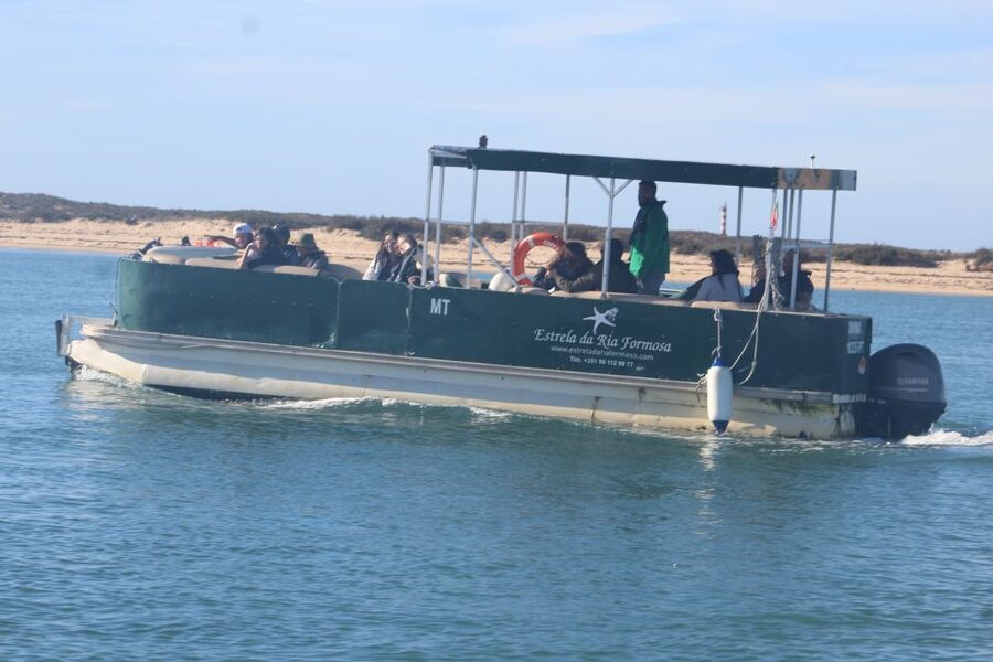 Faro: Ria Formosa Guided Sunset Tour by Catamaran - Who should book this cruise?