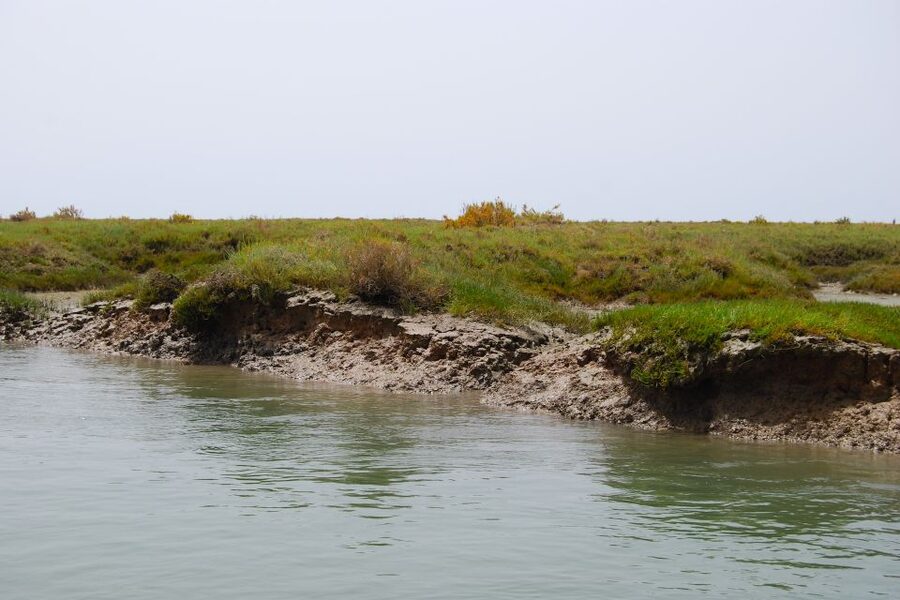 Faro: Ria Formosa Lagoon Small Boat Tour with Local Guide - Faro’s Old Town walls from the lagoon