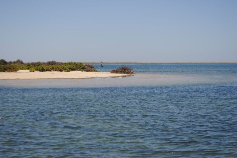 Faro: Ria Formosa Lagoon Small Boat Tour with Local Guide - The guide makes the difference