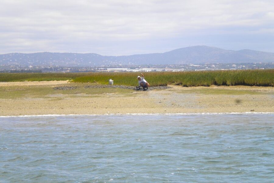 Faro: Ria Formosa Lagoon Small Boat Tour with Local Guide - Who should book this Faro boat tour?