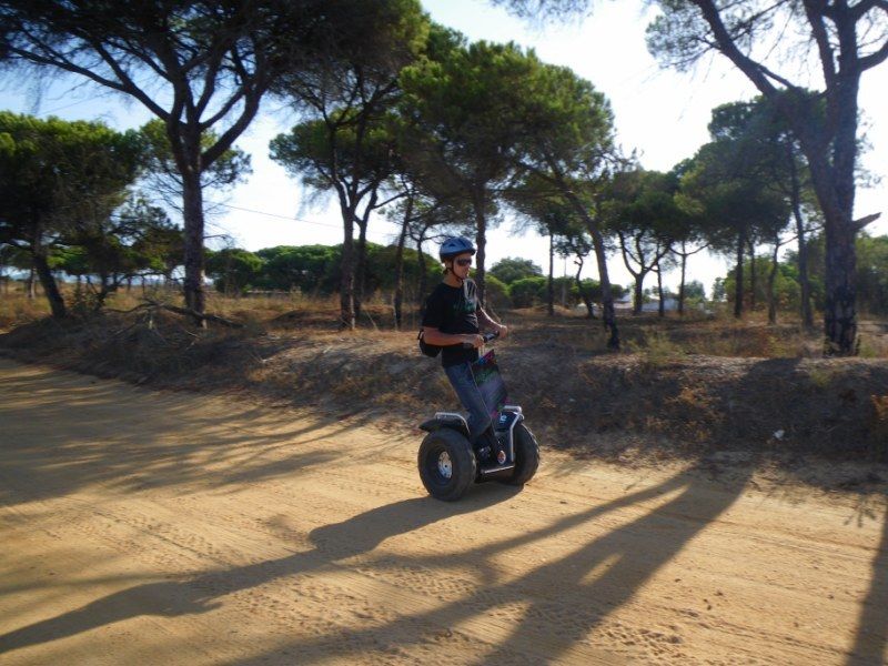 Faro: Ria Formosa Natural Park Segway Tour & Birdwatching - Birdwatching across the seasons
