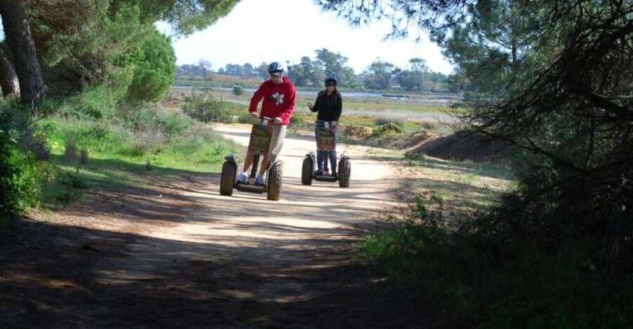 Faro: Ria Formosa Natural Park Segway Tour & Birdwatching - A good choice for families and first-time riders