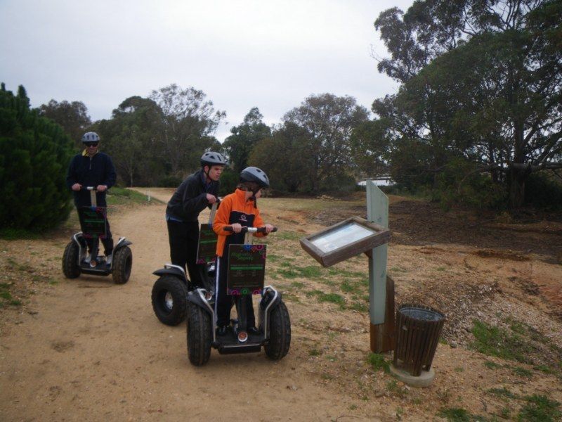 Faro: Ria Formosa Natural Park Segway Tour & Birdwatching - The pace, comfort, and small drawbacks