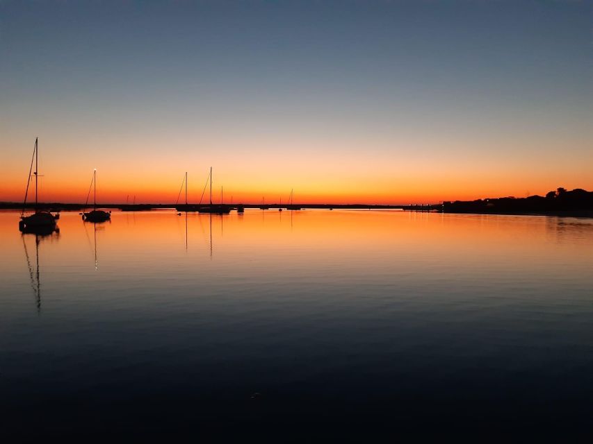 Faro: Ria Formosa Sunset Nature Boat Tour - Key Points Before You Book
