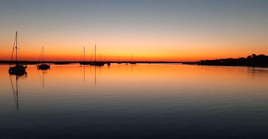 Faro: Ria Formosa Sunset Nature Boat Tour - Guides Make the Difference