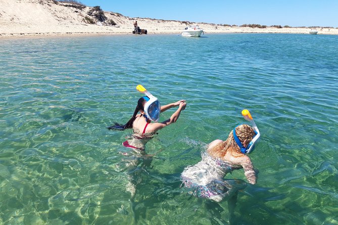Faro - Ria Formosa tour with visit to 2 islands (Deserta, Farol) 3.5 hours - Setting out from Faro at 11:30 a.m.