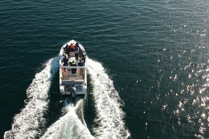 Faro - Ria Formosa tour with visit to 2 islands (Deserta, Farol) 3.5 hours - Why the small boat group matters