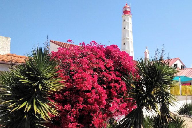 Faro - Ria Formosa tour with visit to 2 islands (Deserta, Farol) 3.5 hours - What the $42.24 price really covers