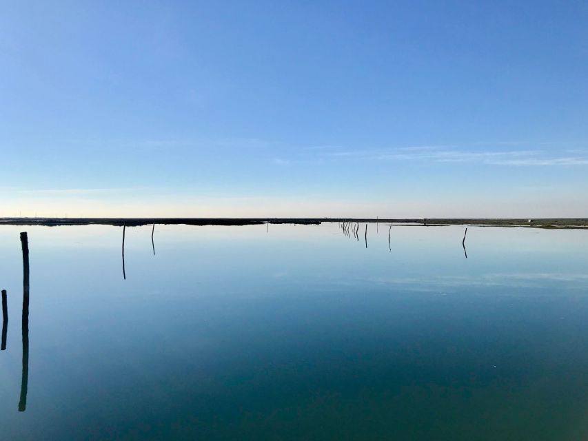 Faro: Speed Boat Tour - Who will enjoy this Faro experience most