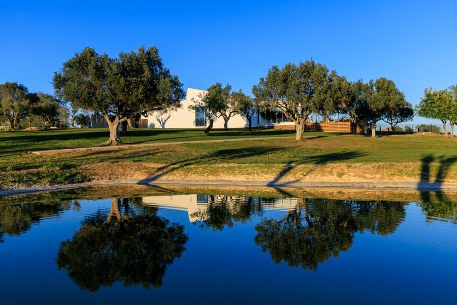 From Albufeira: 4x4 Off-Road Safari & Vineyard Wine Tasting - Booking Advice for a Smoother Afternoon