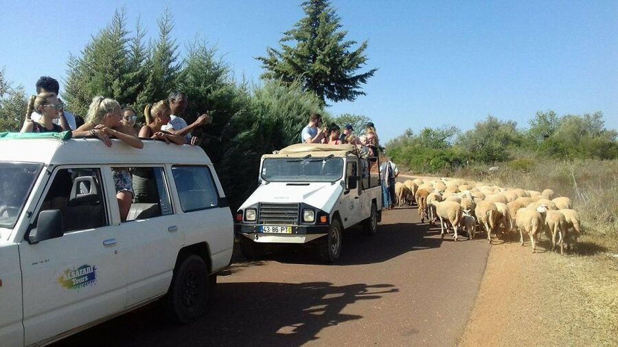 From Albufeira: 4x4 Off-Road Safari & Vineyard Wine Tasting - The Optional Taste of Rural Algarve