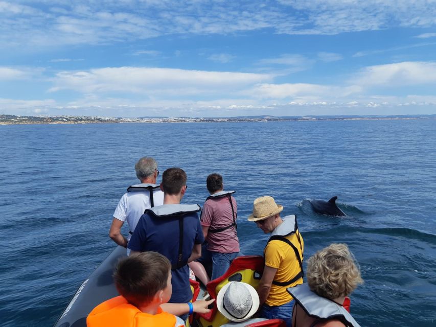 From Albufeira: Benagil Caves and Dolphins Guided Boat Tour - What the $35 price really buys you