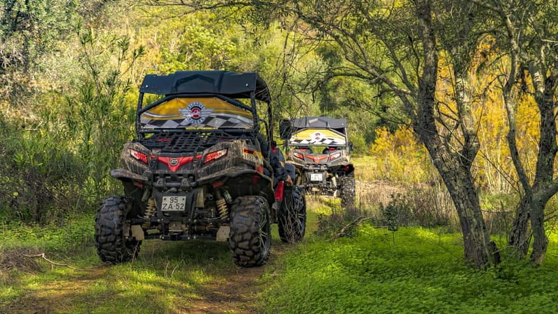 From Albufeira: Half-Day Buggy Adventure Tour - Escarpão: the first taste of rough ground