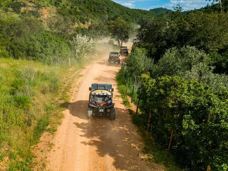 From Albufeira: Half-Day Buggy Adventure Tour - The Paderne break: ten minutes to reset