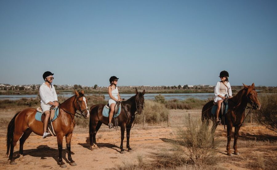 From Albufeira: Half-Day Hidden Gems & Horse Riding Tour - Why First-Time Riders Feel Comfortable Here
