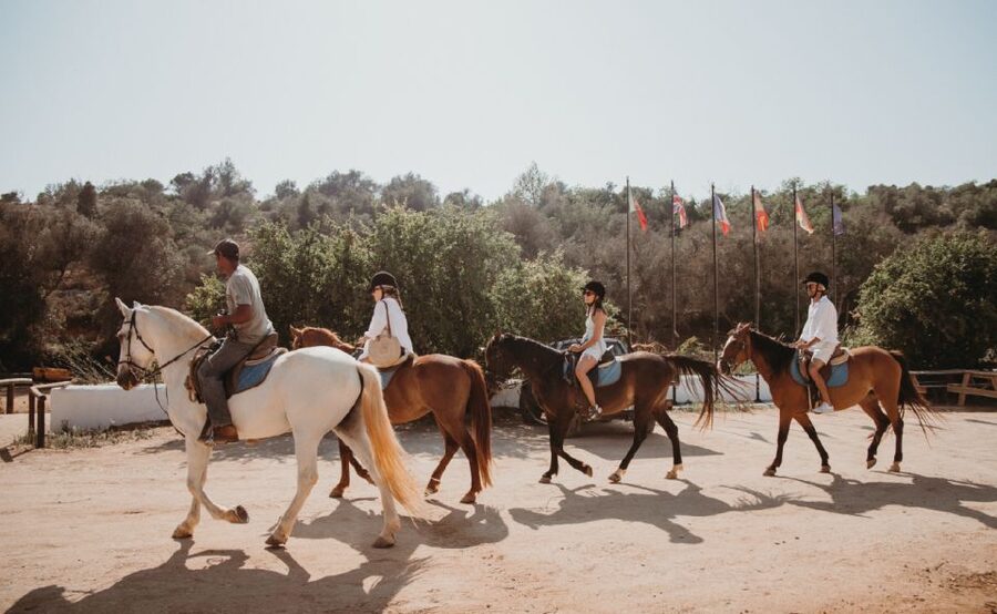 From Albufeira: Half-Day Hidden Gems & Horse Riding Tour - Useful Booking Advice for a Smooth Ride