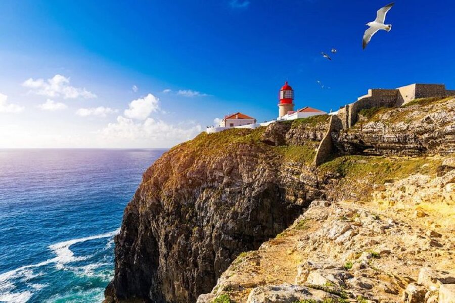 From Albufeira: Historical Algarve Region Tour - The guide can shape the entire day