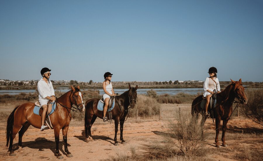 From Albufeira: Horse Riding Tour with Pickup - Horse care is more than a nice extra