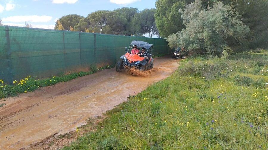 From Albufeira: Paderne Adventure Buggy Ride - Villages and citrus groves away from the coast