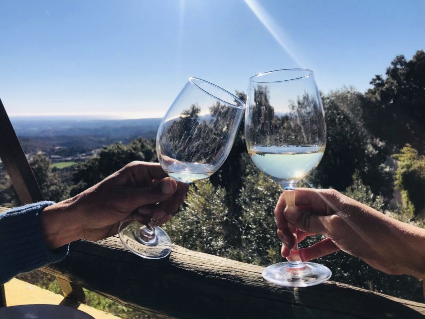 From Albufeira: Wine Tasting & Historic Silves Tour - Inside a family-run winery