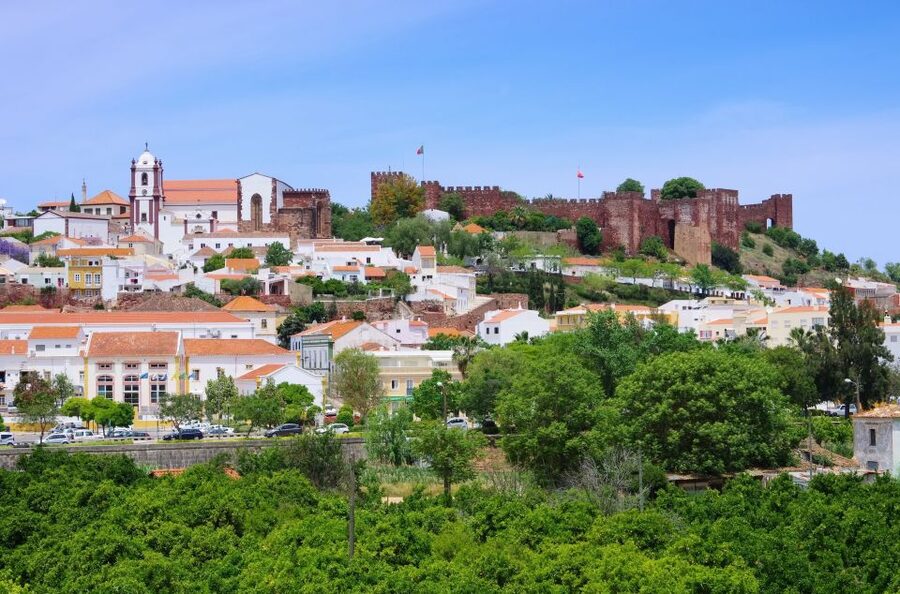 From Albufeira: Wine Tasting & Historic Silves Tour - Three wines, snacks, and a relaxed tasting