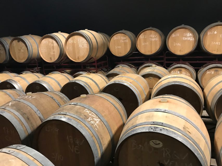 From Albufeira: Wine Tasting & Historic Silves Tour - What $76 actually buys you