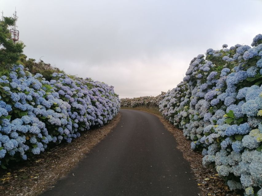 From Angra: Terceira Island Full-Day Tour - Algar do Carvão and the optional volcanic experience