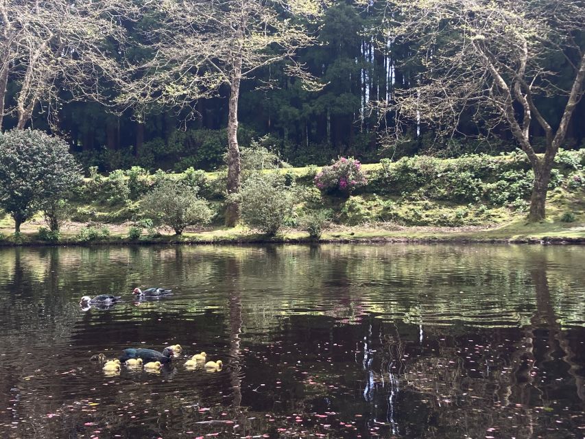 From Angra: Terceira Island Full-Day Tour - The ride back through central Terceira