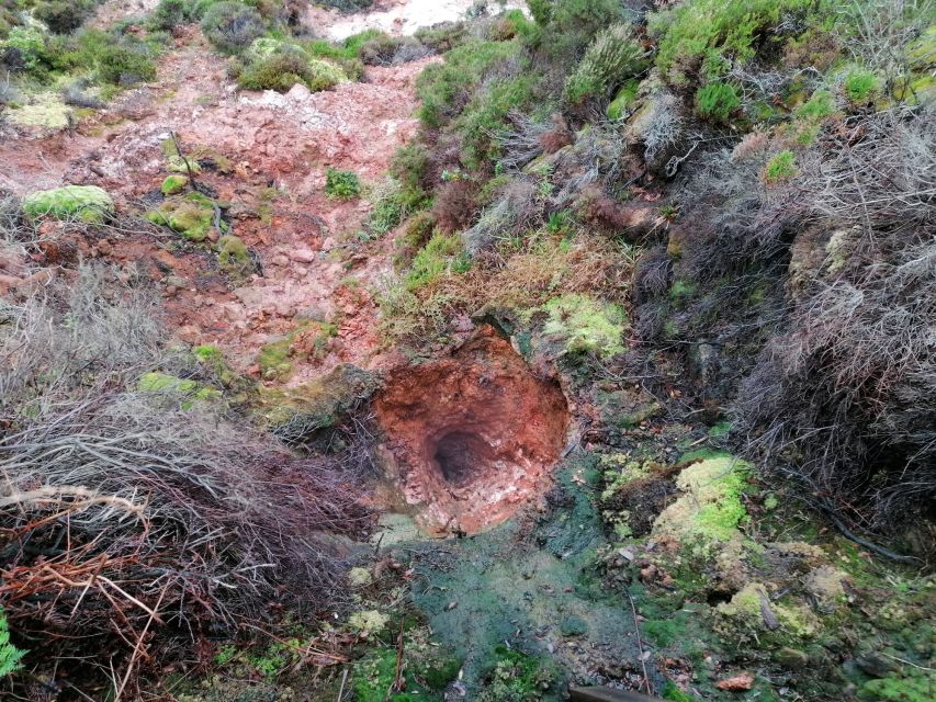 From Angra: Terceira Island Half-Day Geotour (Shared Tour) - Furnas do Enxofre and the Signs of Heat