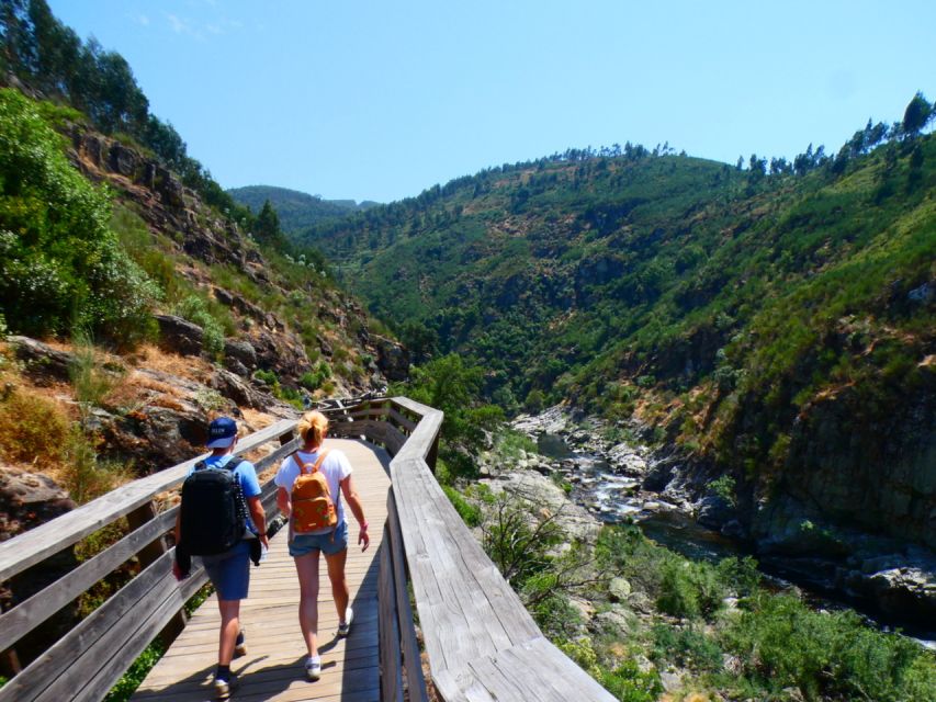 From Arouca: 516 Arouca Bridge & Paiva Walkway Tour - What your guide adds to the gorge